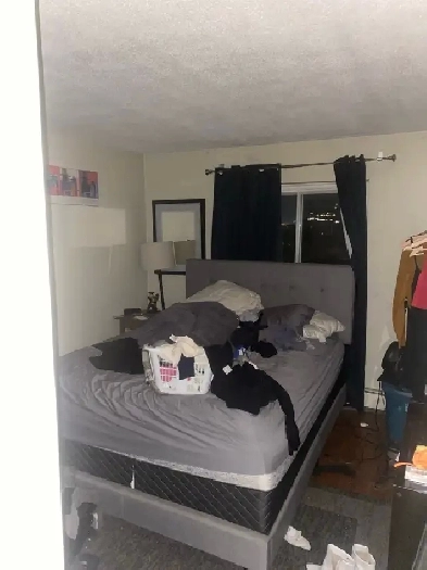Room for rent Image# 1