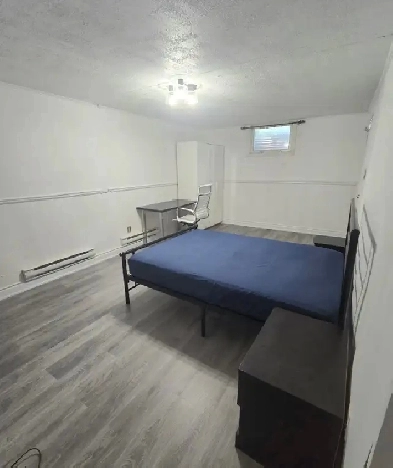 Spacious Basement Bedroom for Rent  Available Now or August 1st Image# 1