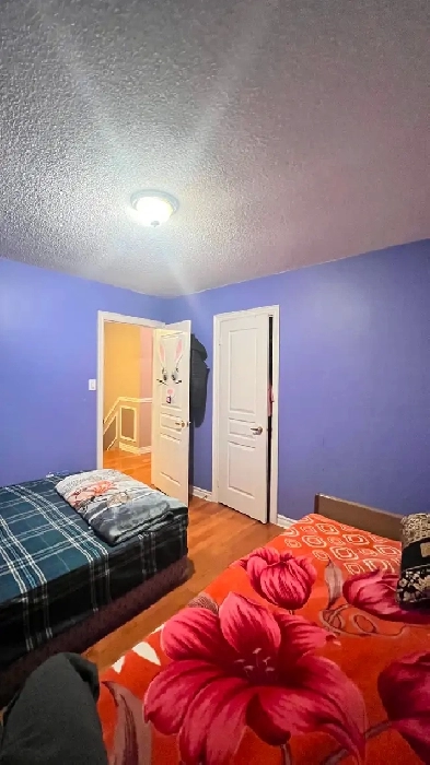 Space for girl for 1 month Image# 3
