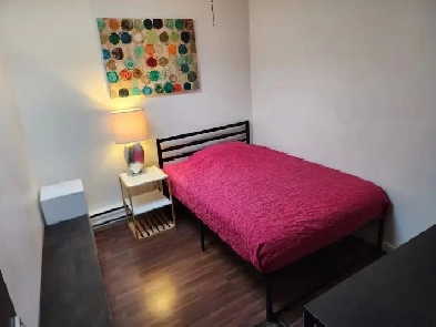 July 20-28❤ Bright room in shared apt @ Bathurst/College Image# 1