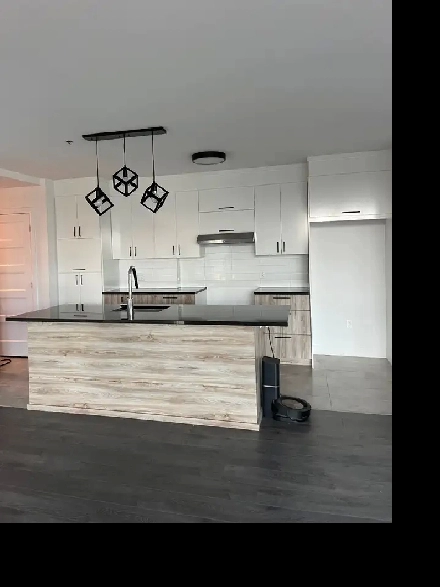 5 1/2 Condo Image# 12