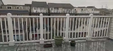 York university village