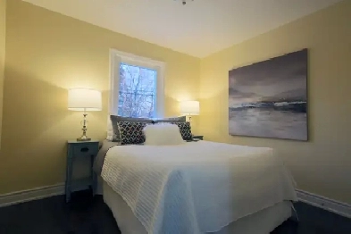 Open concept 3 bedroom main floor available. Image# 1