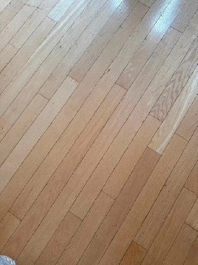 Room for Rent Image# 1