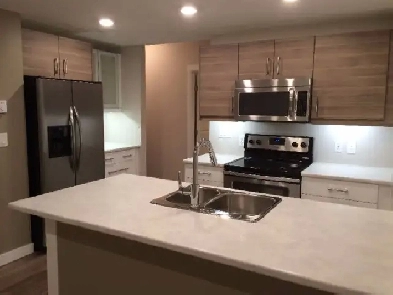 Bright 2 Bedroom Suite - $1300 Image# 3