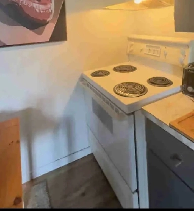 studio à louer à trois rivières Image# 1