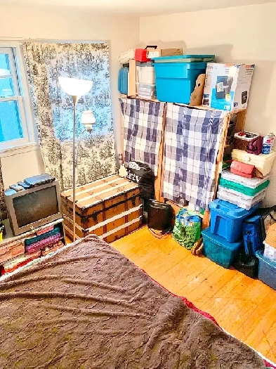 Room For Rent (Large Downtown 2 Bedroom Apartment) - Sept. 1st Image# 3