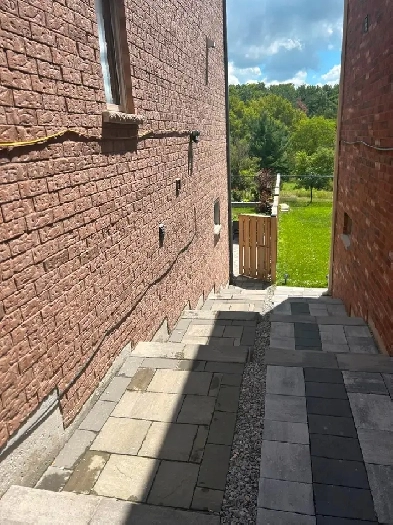 2 bedrooms walk-out basement for rent Image# 1