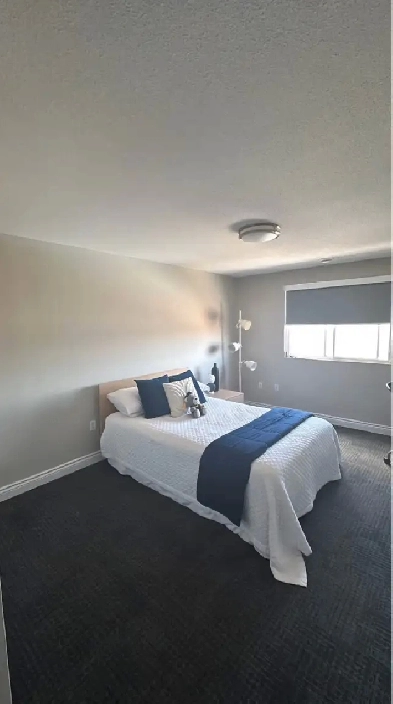 Bedroom for rent- in a girls' student apartment Image# 7