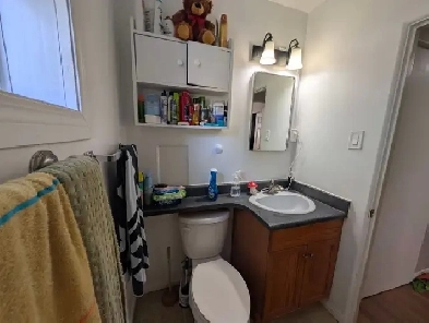 roommate needed Image# 1