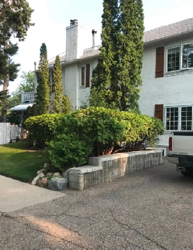 1 Bedroom available - City Park Character Home Image# 6