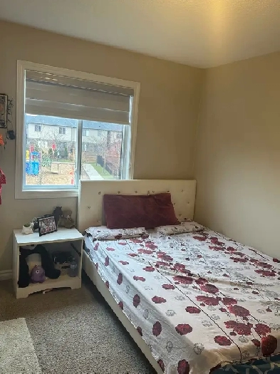 one room for rent girls only Image# 4