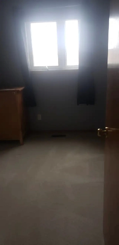 1 bedroom for rent $600 Image# 1