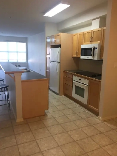 University area apartment for rent Image# 1