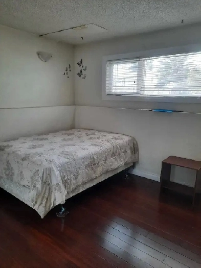 Single room for rent in all girl basement near Gurdwara Image# 1
