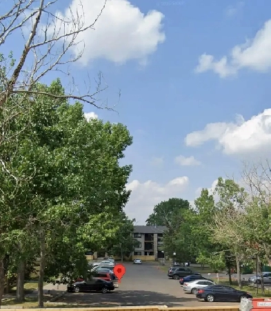 1 Bedroom for Rent in Shared 2-Bedroom Apartment - Castleridge Image# 1