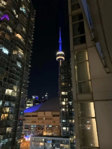 1 bedroom condo   parking (CN tower nestled community) Image# 1