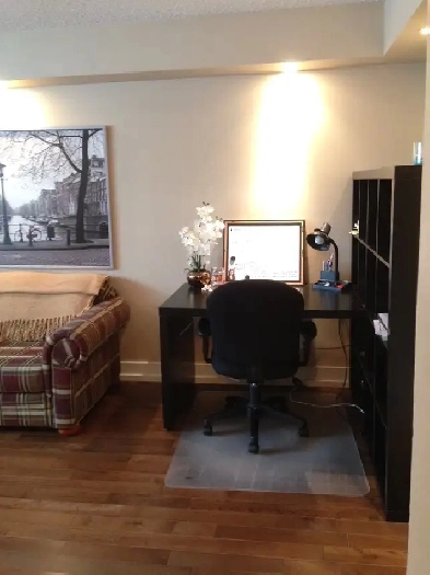 Newly Renovated One Bedroom Condo for Rent in Norwood west Image# 4