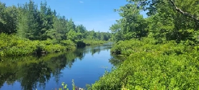 8.9 Acres of Peace and Tranquility in Cottage Country Image# 1