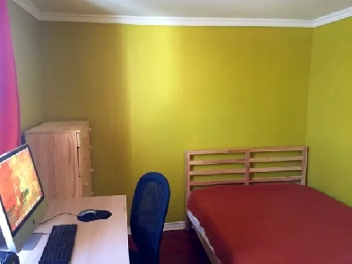 Chambre à louer Image# 12