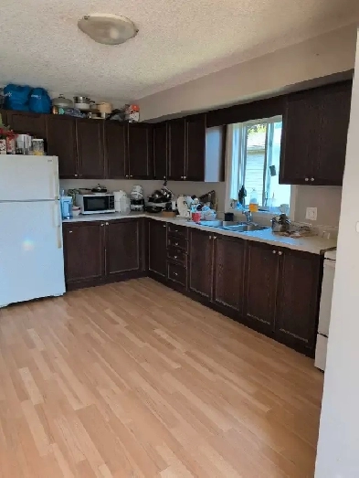 Room For Rent.400 without utilities.Utilities comes max up to 50 Image# 3