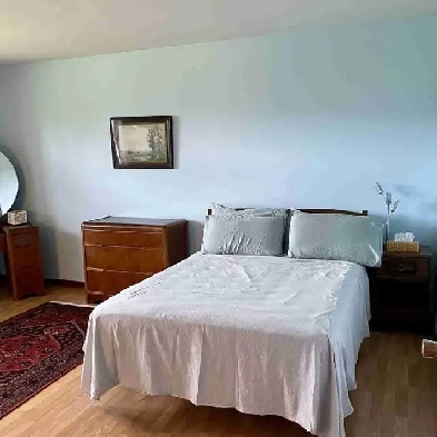 Room for rent Image# 4