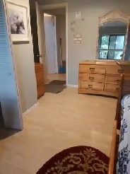 ROOM FOR RENT : Guildford Surrey Image# 3