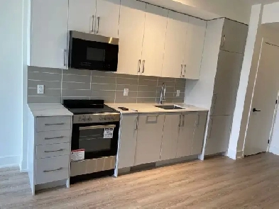 1 1 bedroom and 2 wash room luxury condo in king city Image# 8