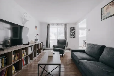 Beau 4 1/2 situé à Lévis - Disponible dès JUILLET Image# 2