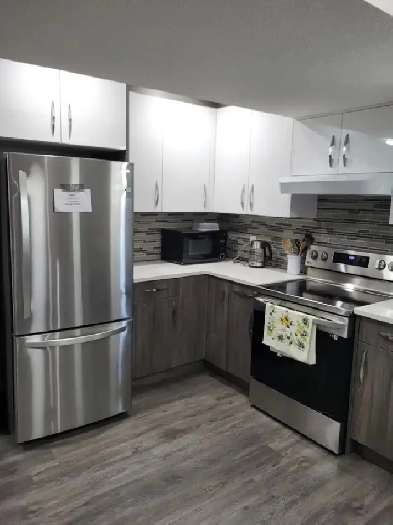 ✨ Bright, Fully Furnished 2-Bedroom Walkout Basement in Baysprin Image# 12