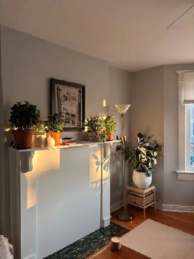 Charming 2-Bedroom Unit for Rent – Great Location & Value! Image# 1