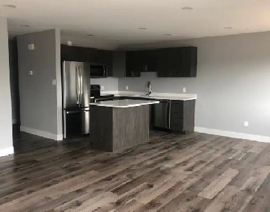 2 Bedroom Suite for Rent Image# 7