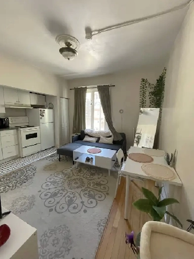 Nice and bright 1-bedroom unit in Centretown- Available Sept 1st Image# 7