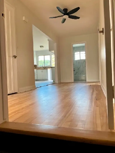 Dispo Maintenant Beau Logement rénové Image# 1