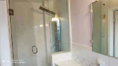 Available July 23rd Bloor Dufferin basement short/long term Image# 2