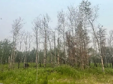 Garden River Acreage Image# 1