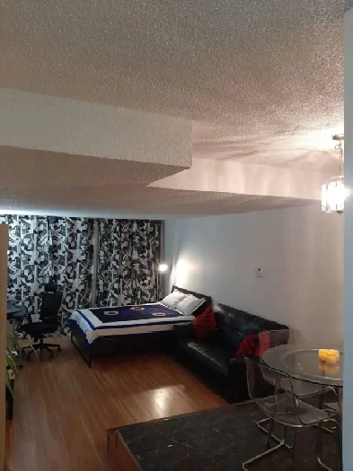 LARGE STUDIO URGENT RENTAL Image# 4