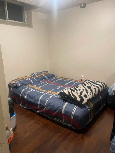 PRIVATE ROOM  FOR BOY  CLOSE TO SHERIDAN COLLEGE BRAMPTON Image# 1