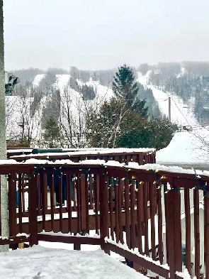 Condo à louer Image# 15