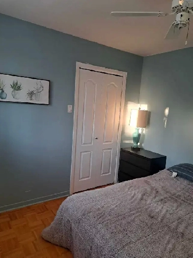 chambre a louer terrebonne laplaine Image# 2