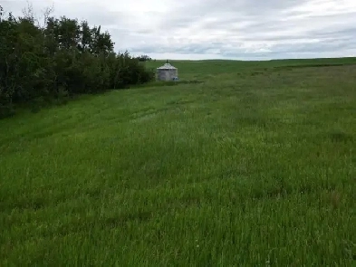 Hwy 9 RR19-5A, Rural Starland County T0J 2B0 Image# 1