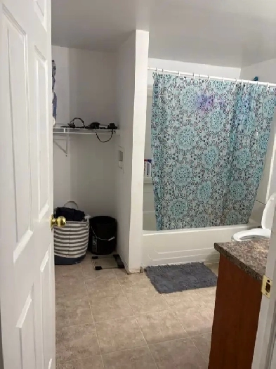 Rent for basement Image# 4