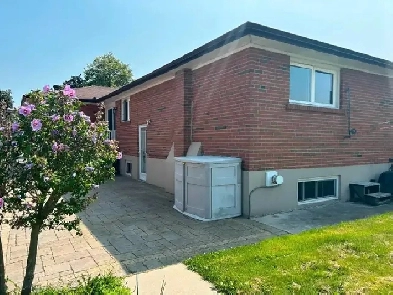 Separated entry 3  room basement unit close to all amenities Image# 1