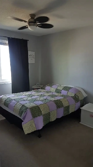 Private room for rent in Eagle Ridge Image# 1