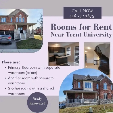 Rooms for Rent near Trent University Image# 1