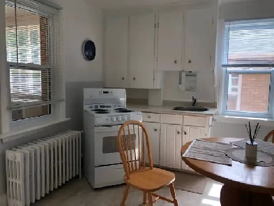 Spacious Furnished Bachelor Apt for Rent Image# 8