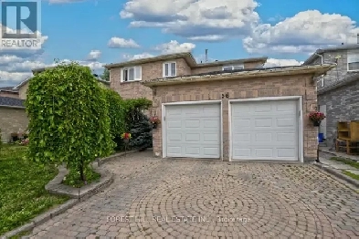 Rental Basement - 56 COOPERAGE CRESCENT. Richmond Hill Image# 1