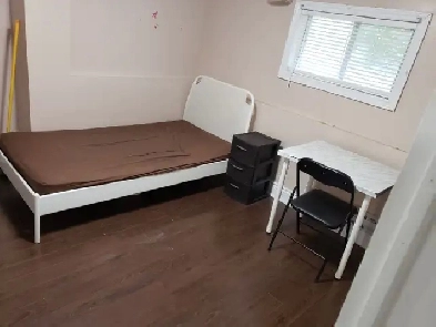 Female private room in a house. Legal walkout. Cntr of Mississga Image# 9