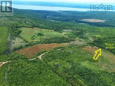 Peaceful treed acreage in rural area Image# 1