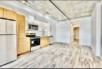 Lease Transfer – Renovated 3 ½ Apartment – Available August 1st Image# 1